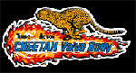 CHEETAH Logo